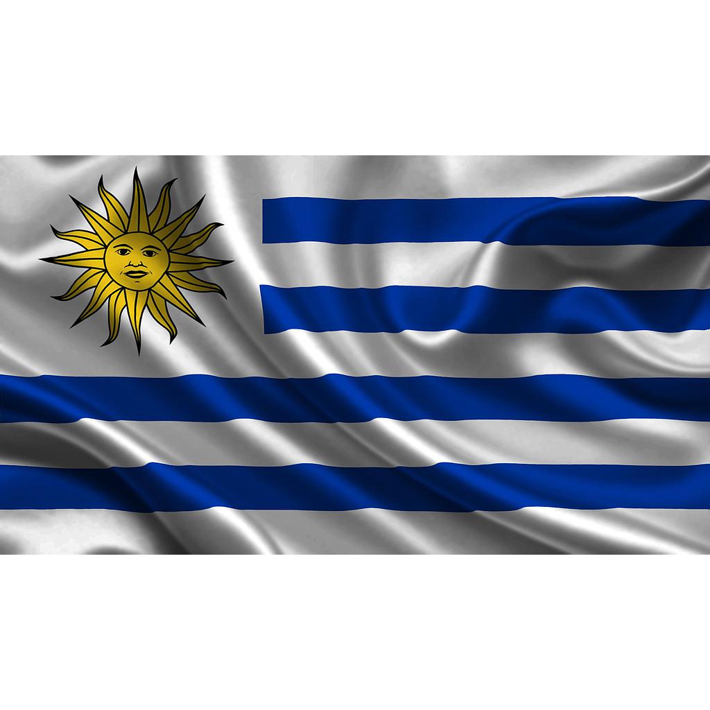 BANDERA URUGUAY 60X1MT