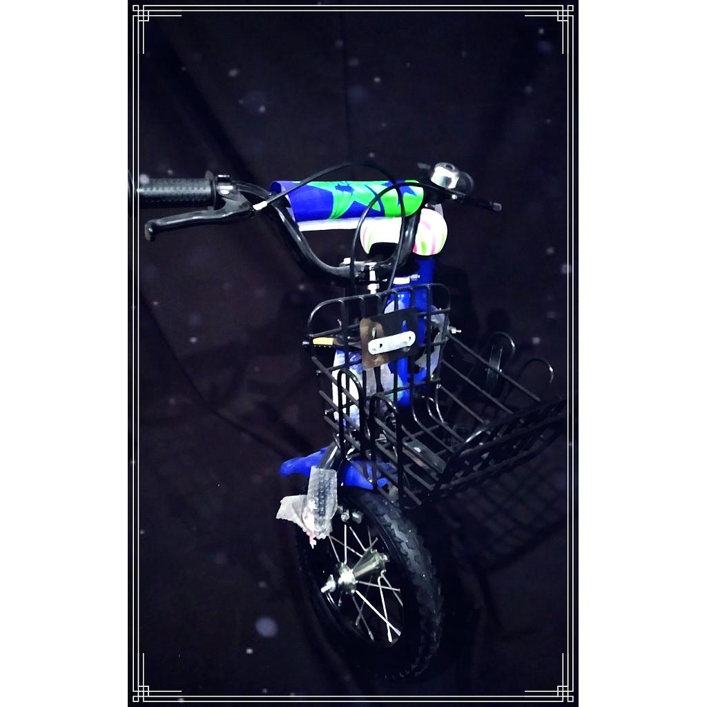 BICICLETA R12 NEW VARON