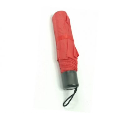 PARAGUA C. MINI CARTERA