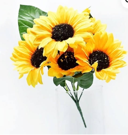 RAMO F. GIRASOL X7