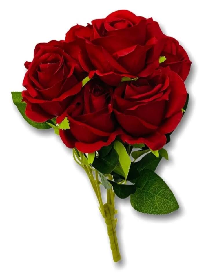 RAMO F. ROSAS CH X8 ROJAS ATADO