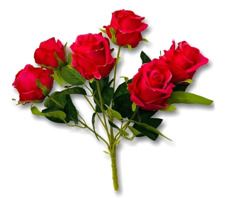 RAMO F. ROSAS X6 GDE ROJAS ATADO