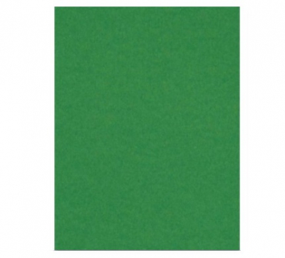 CARTULINA F. VERDE OSC